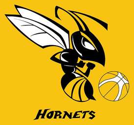 Bucks Hornets Logo
